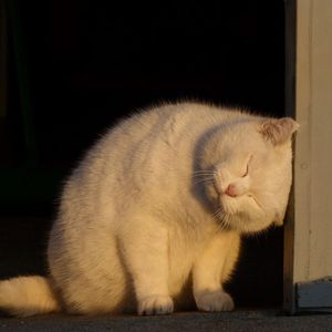 慢慢
