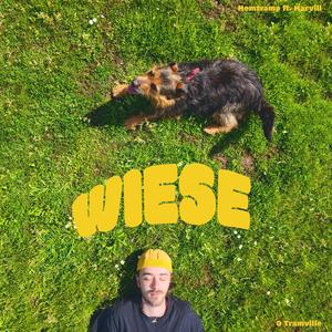 WIESE (feat. Marvill)
