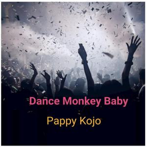 Dance Monkey Baby