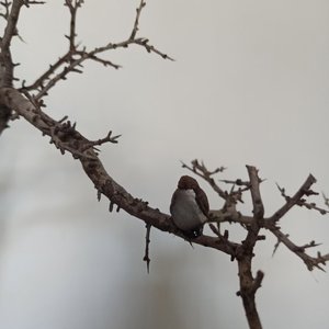 覆舟水是苍生泪