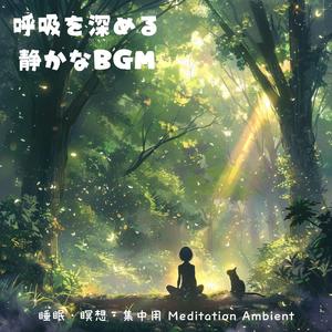 雨の日に聴く静かな睡眠用音楽