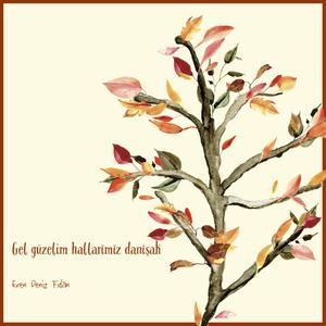 Gel Güzelim Hallarımız Danışak