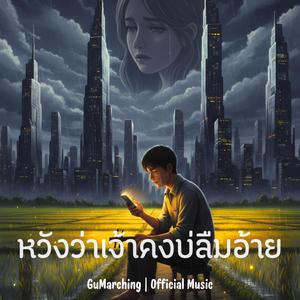 หวังว่าเจ้าคงบ่ลืมอ้าย
