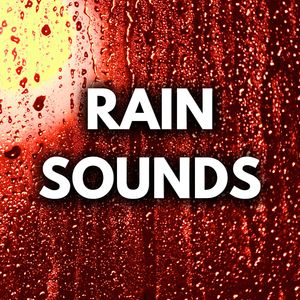 White Rain Noise Overlay