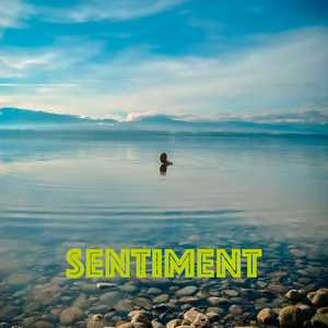 Sentiment