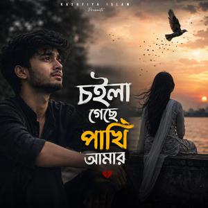 চইলা গেছে পাখি আমার