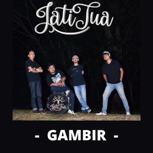 Gambir