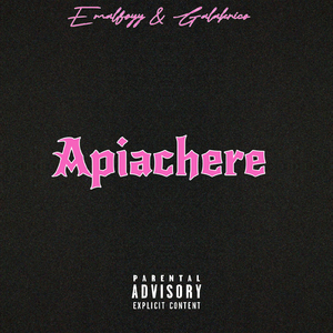 Apiachere