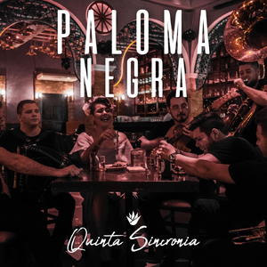 Paloma Negra