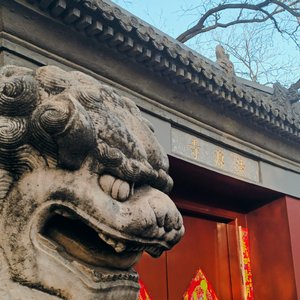 《法源寺前石狮子 》