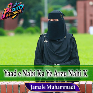 Yaad e Nabi Ka Ye Arzu Nahi K