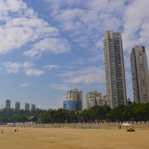 纯音乐写作业.掌心的温柔（古筝）