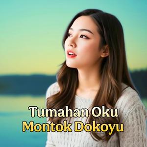 Tumahan Oku Montok Dokoyu