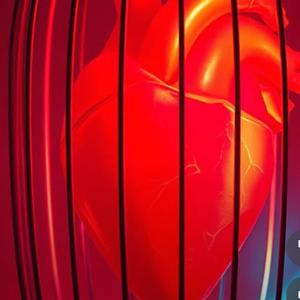 Se on rakkauden hinta