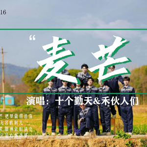 《麦芒》合唱-致那个麦浪滚滚的夏天