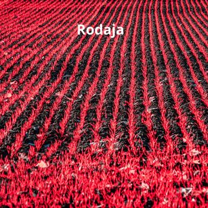 Rodaja