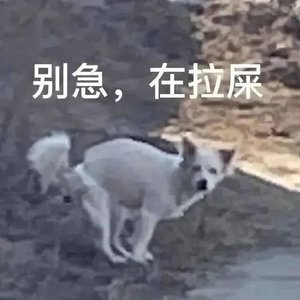 荼蘼清梦（游戏《代号鸢》孙策同人曲）