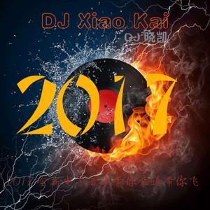 大张伟 - 人间精品起来嗨 (Remix)