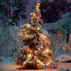 Where Will I Be Next Christmas? (feat. Sara Cozzens)