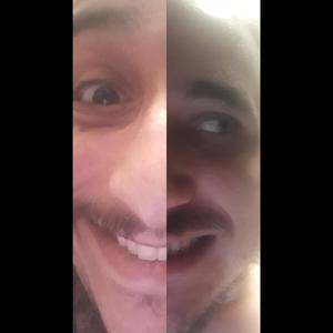 כל דבר של זיביט