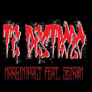Te Destrozo (feat. seiron)