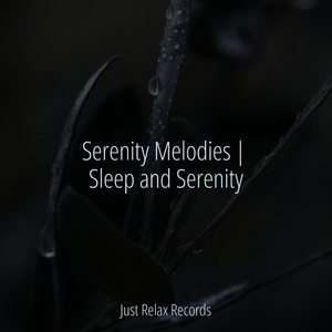 Harmonious Stained Glass