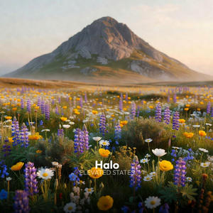 Halo