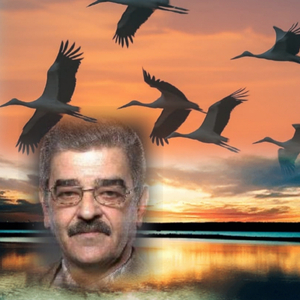 Вірю... (text volodymyr petrechko)