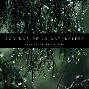 Salpicaduras De Río