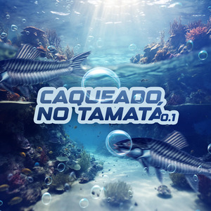 Caqueado no Tamatá 0.1
