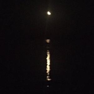 The blue story freestyle