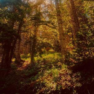 RELINQUISH (feat. Chris Sholar)