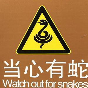 CHANCE (Prod.ShootatheLit)