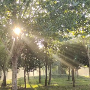 Experience（Live A Fip 2015）