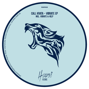 Vibrate (Original Mix)