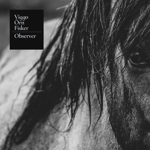 Observer
