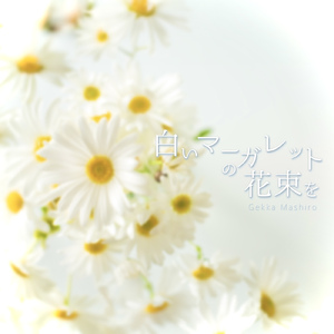 白いマーガレットの花束を