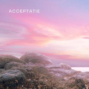 Acceptatie