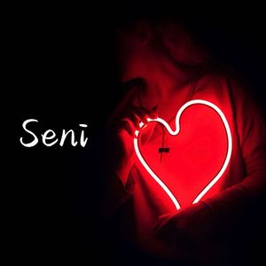 Seni