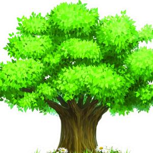 校园歌手(十孔口琴)