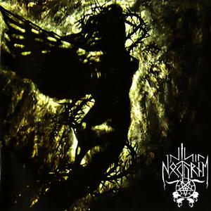 Licht, verzehre mich!