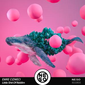 Little **** of Riddim