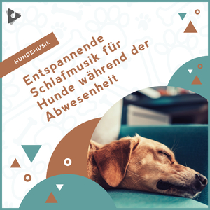 Entspannendes Instrumental am Meer