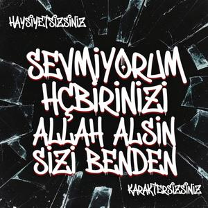 Sevmiyorum Hiçbirinizi