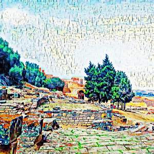 Hospice