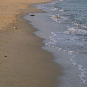 Shelter on the Green
