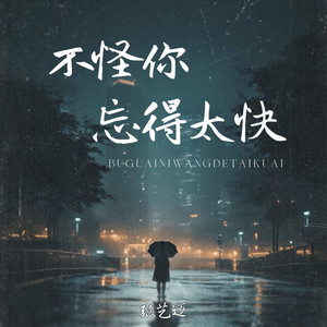 不怪你忘得太快