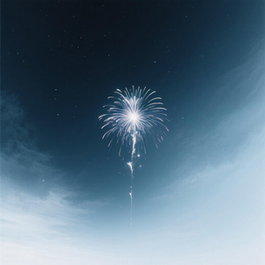 追光的鸟