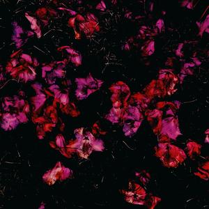 Hledal můzu v opuštěný budově