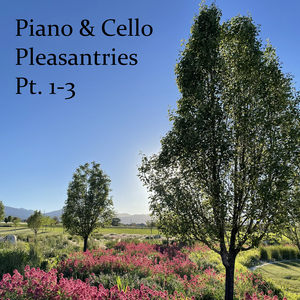 Piano & Cello Pleasantry, Pt. 1